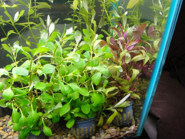 DSC00632.jpg
