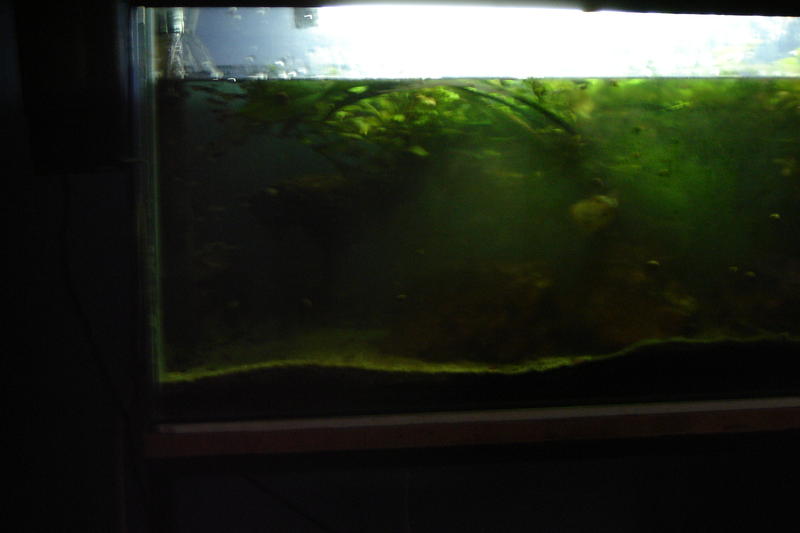 DSC00859.jpg