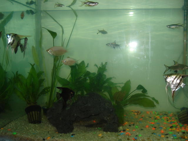 DSC00895.jpg