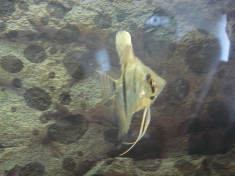 DSC01024.jpg
