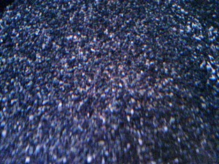 DSC01283r.jpg