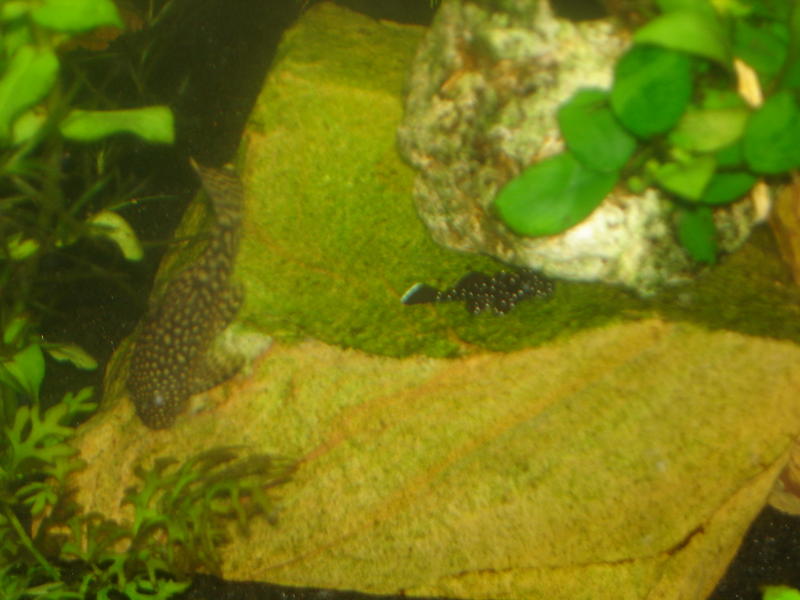 DSC01450.jpg