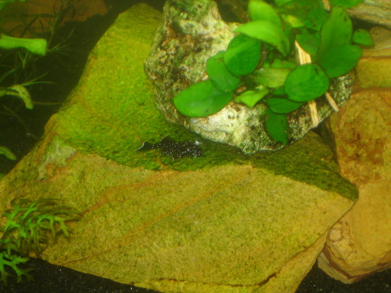 DSC01458.jpg