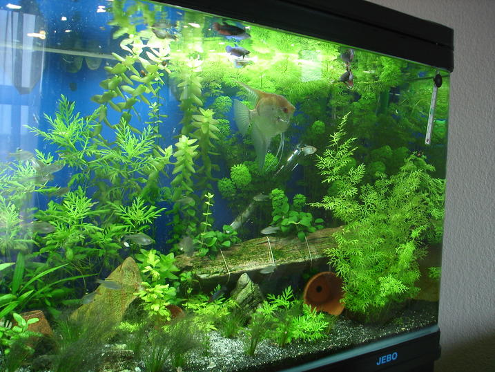 DSC01581.jpg