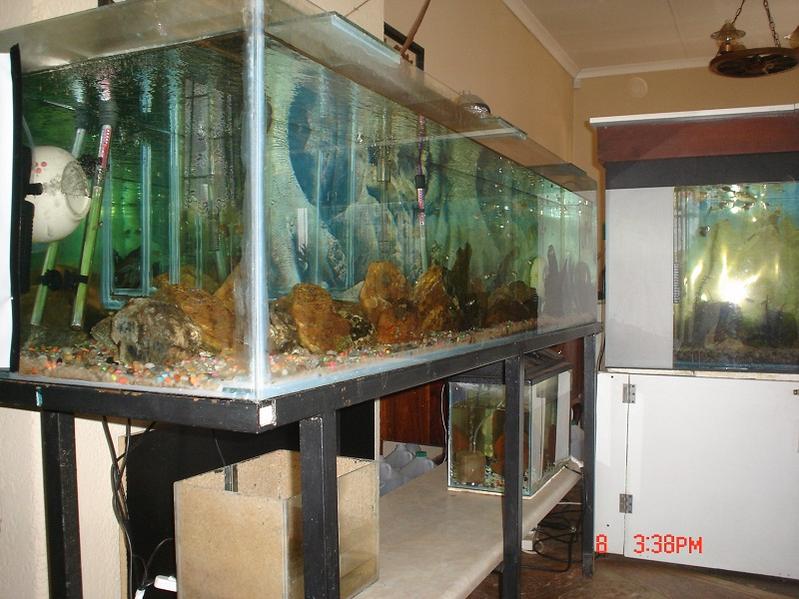 DSC02004.jpg