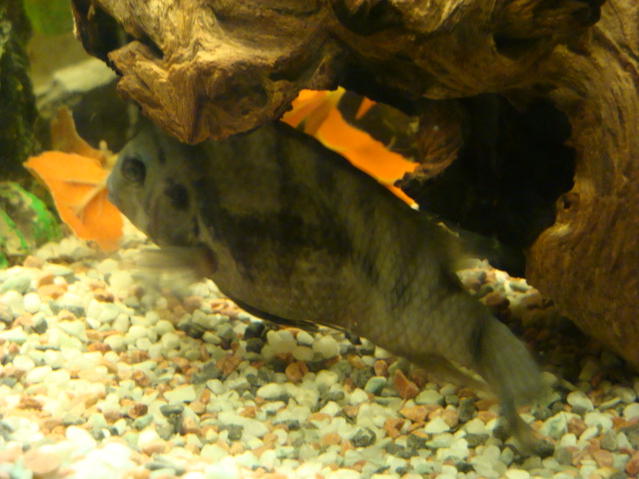 DSC02745.jpg