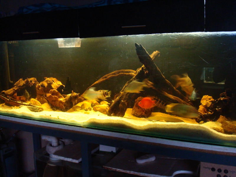 DSC03728.jpg