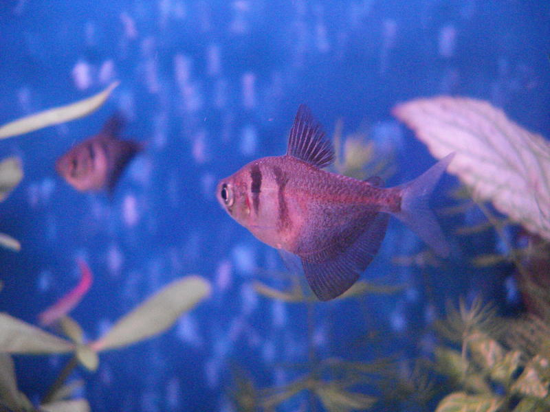 DSC07409.jpg
