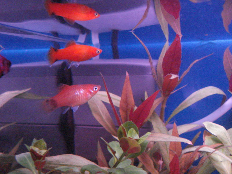 DSC07715.jpg