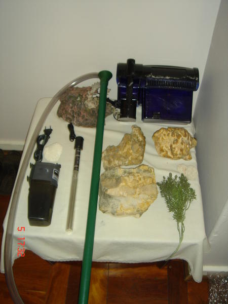 DSC08826.jpg