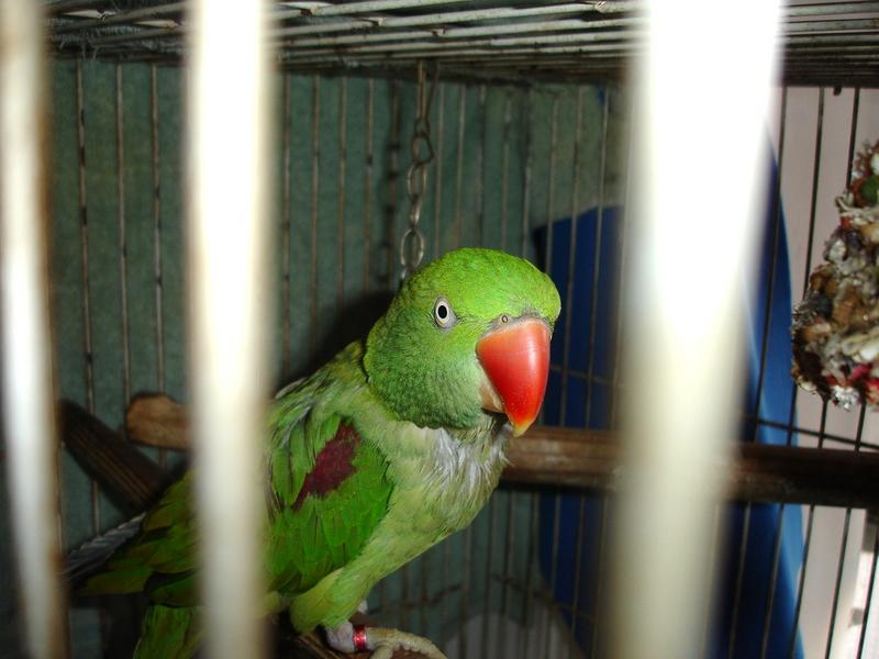 DSC08845.jpg