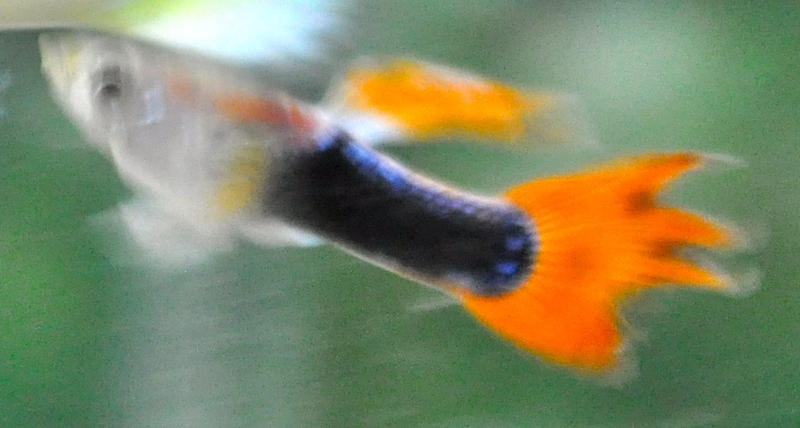 DSC_0002.jpg