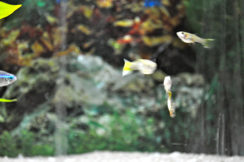 DSC_0004.jpg