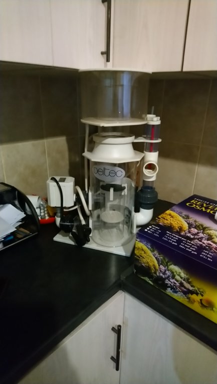DSC_0044.JPG