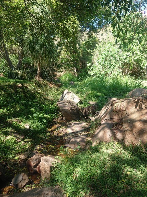 DSC_0292.JPG