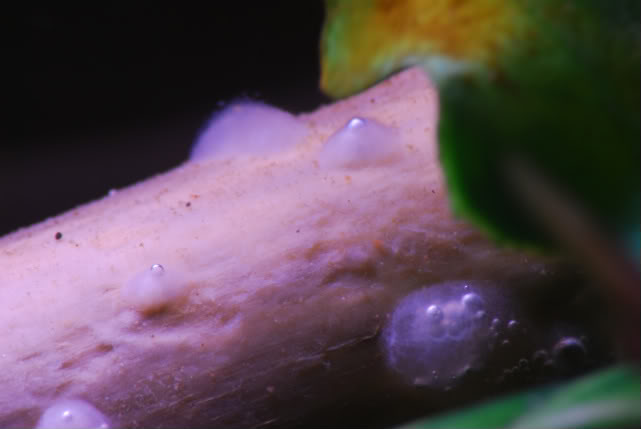 DSC_1227-1.jpg