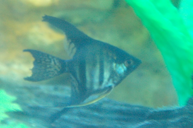 DSC_9176.jpg