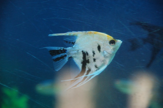 DSC_9181.jpg