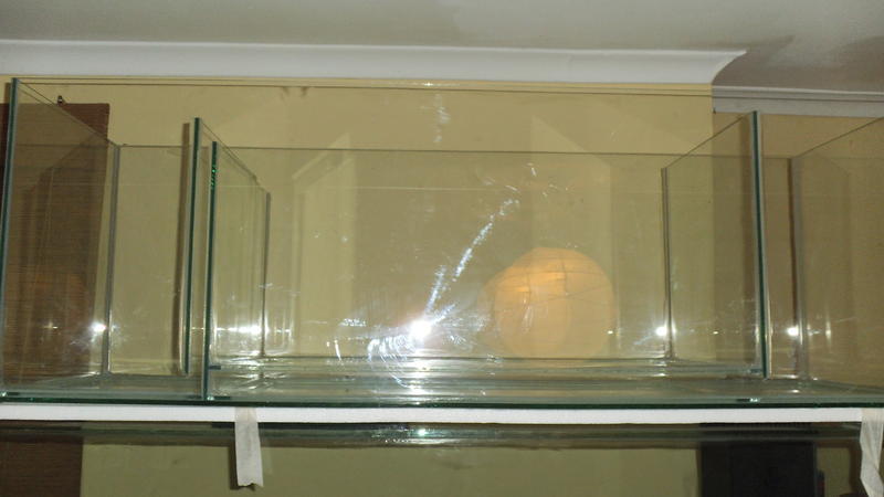 DSCF0017.jpg