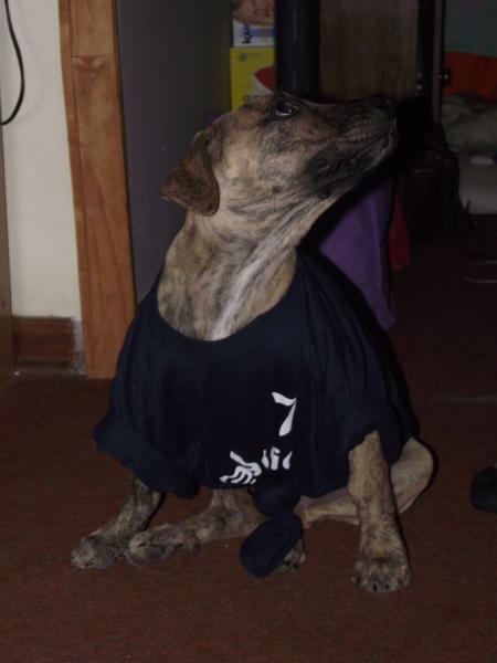 DSCF0302.jpg