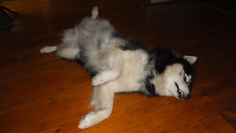 DSCF0724.jpg