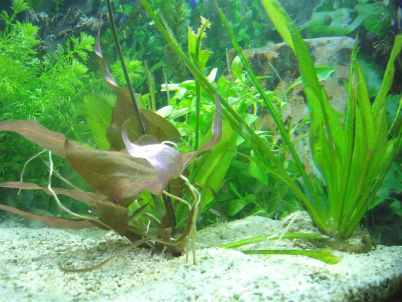 DSCF0753 (Medium).jpg
