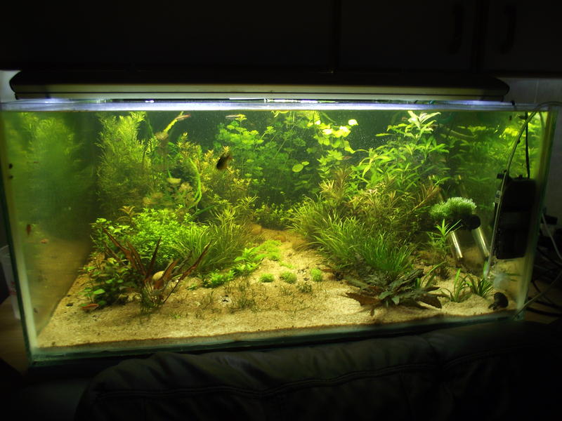 DSCF2368.jpg