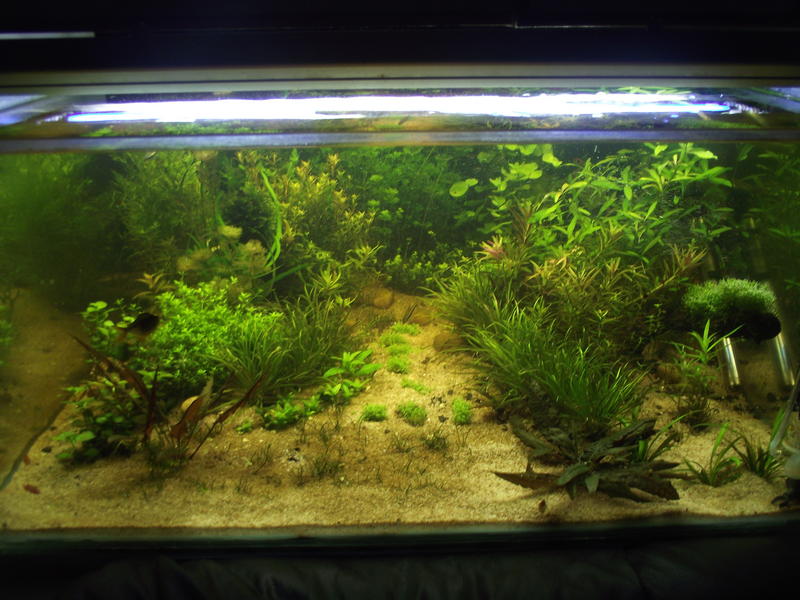 DSCF2371.jpg