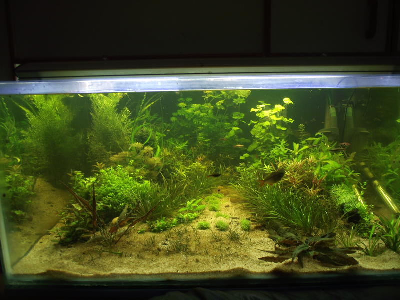 DSCF2374.jpg