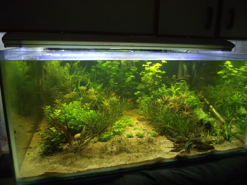 DSCF2376.jpg