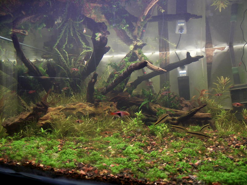 DSCF2410.jpg
