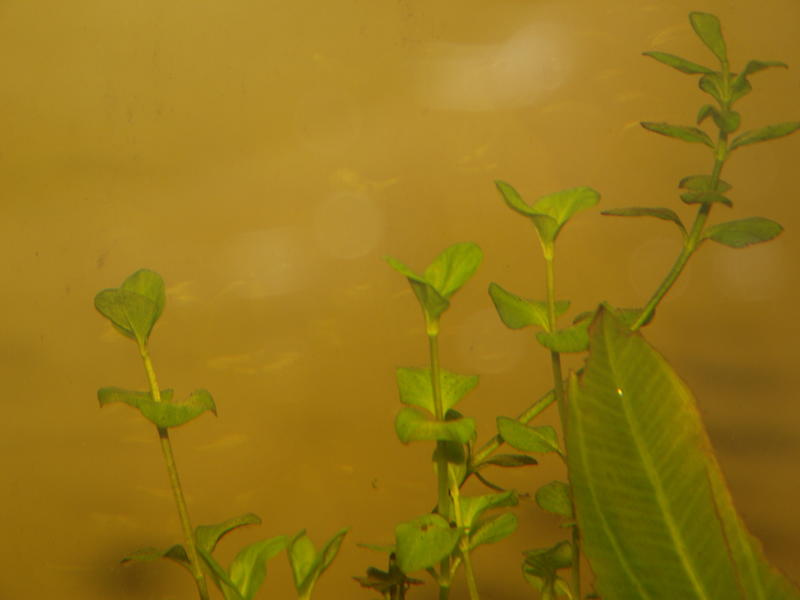 DSCF2673.jpg