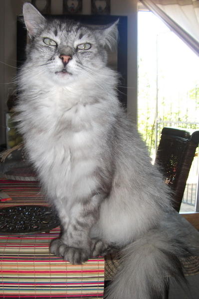 DSCF3752.jpg