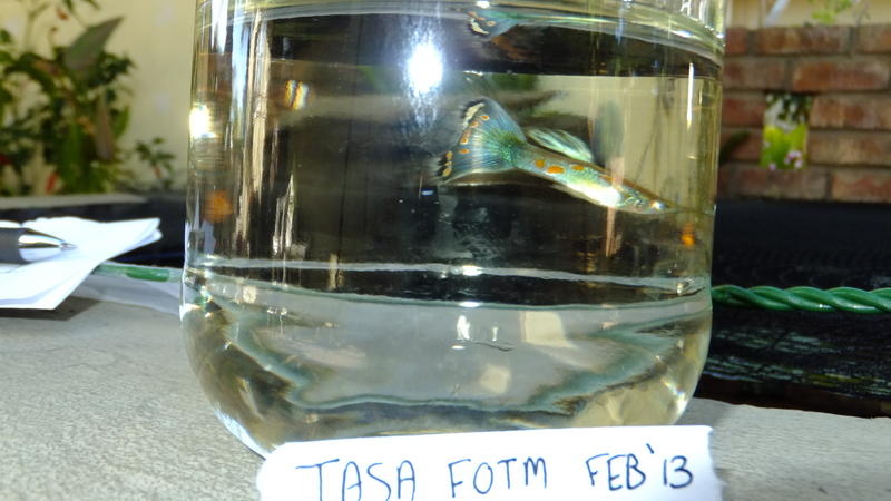DSCF3953.jpg