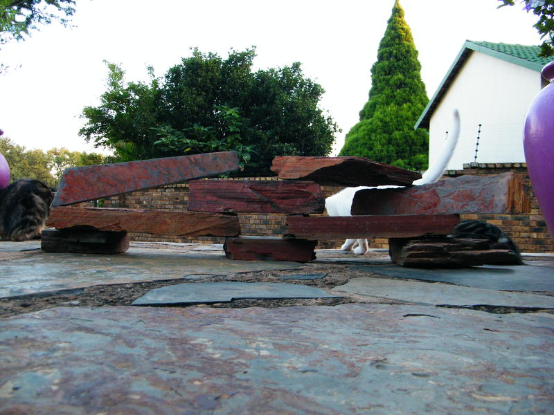 DSCF4194.jpg