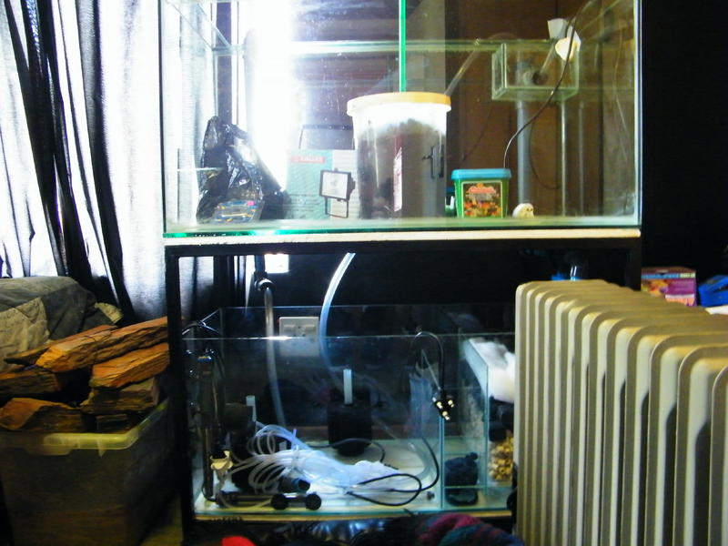 DSCF4256.jpg
