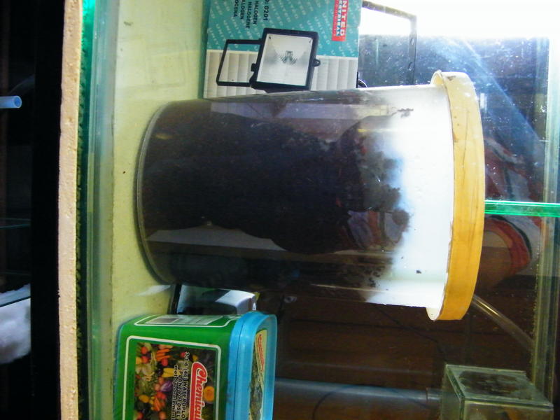DSCF4257.jpg