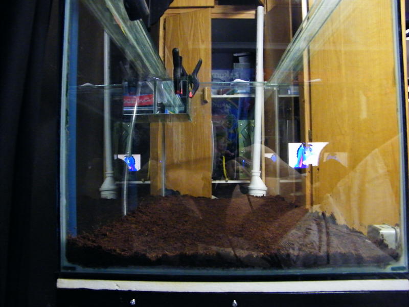 DSCF4268.jpg