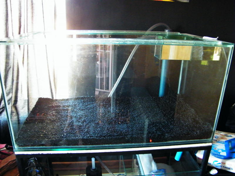 DSCF4271.jpg