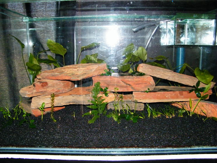 DSCF4277.jpg