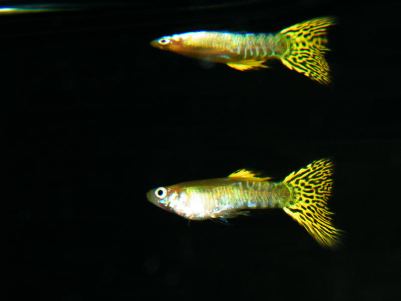 DSCF4544.jpg