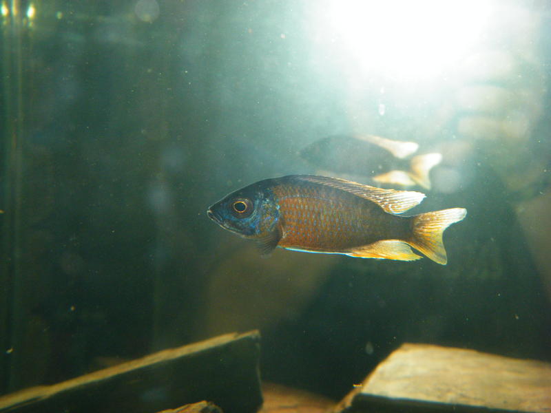 DSCF4663.jpg