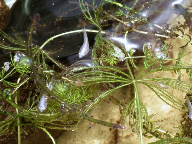 DSCF4783.jpg