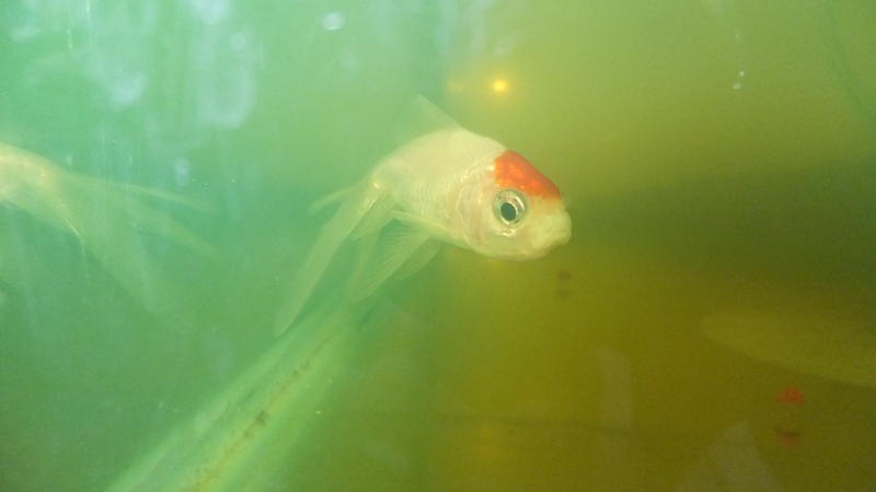DSCF4859.jpg