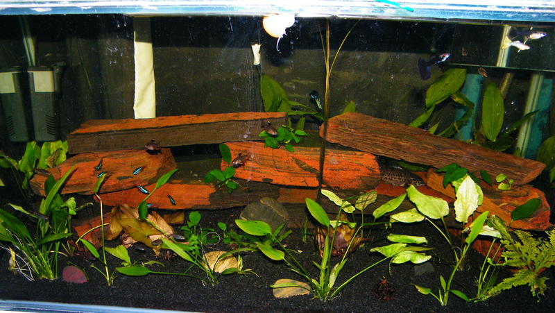 DSCF4922.jpg