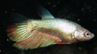 DSCF4973.jpg