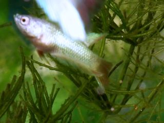 DSCF5024.jpg