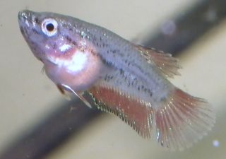 DSCF5027.jpg