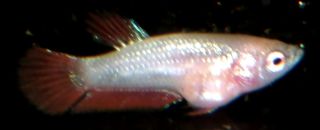 DSCF5029.jpg