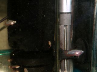 DSCF5034.jpg